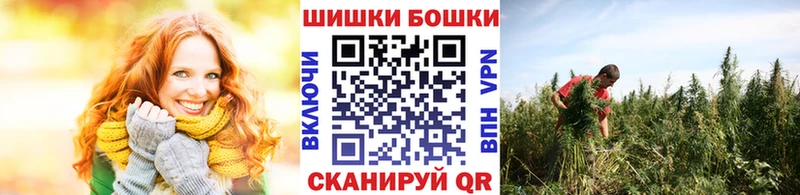 Канабис семена  закладки  Городовиковск 